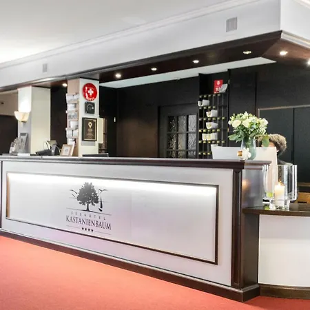 Seehotel Kastanienbaum 4* Lucerne