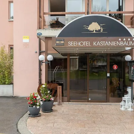 Seehotel Kastanienbaum Szálloda 4*
