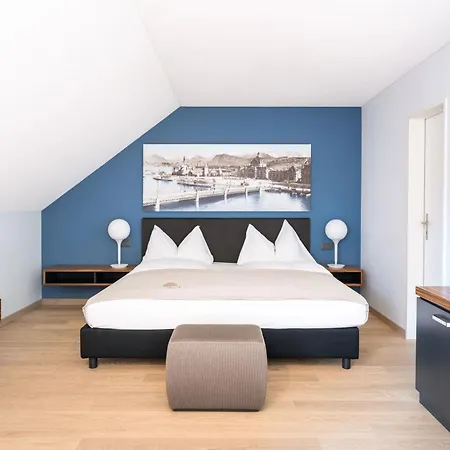 Seehotel Kastanienbaum Hotel 4*